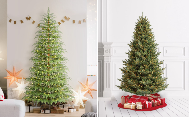 My Texas House 7 5 Foot Pre Lit Cypress Green and Grand Spruce Green Artificial Christmas Trees My Texas House 7 5 Foot Pre Lit Cypress Green and Grand Spruce Green Artificial Christmas Trees