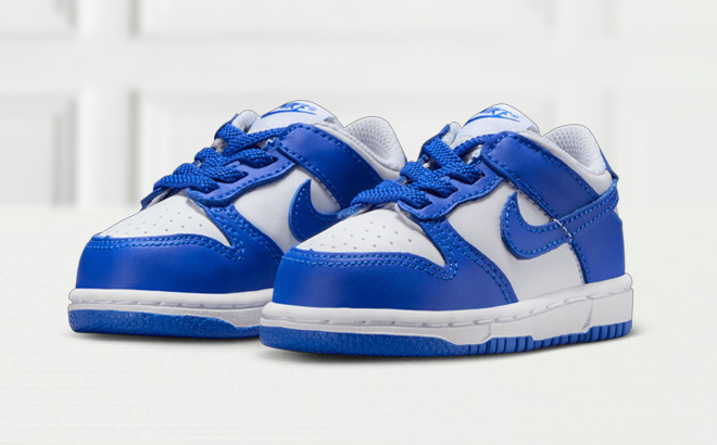 Nike Dunk Low Boys Toddler Shoes on the Table
