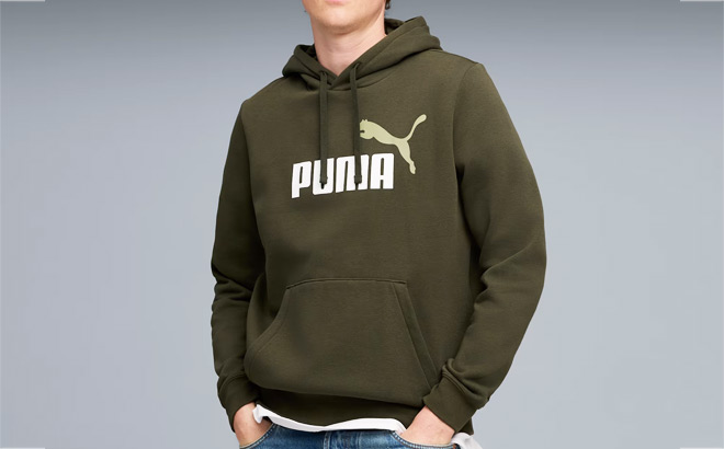 Puma Logo Essentials Mens Hoodie
