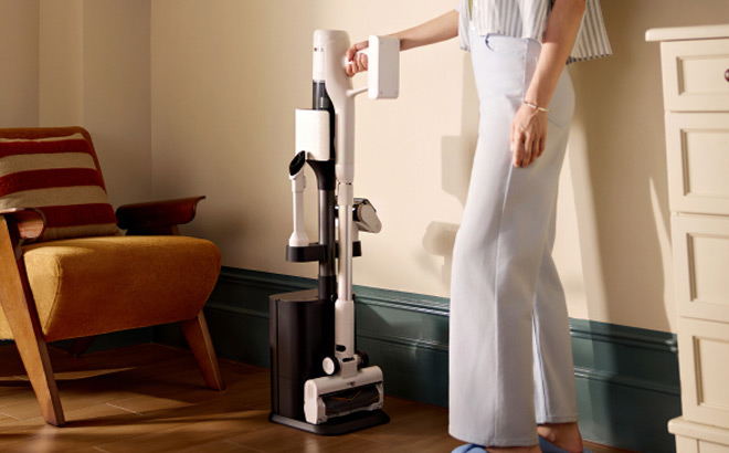 Roborock H60 Hub Cordless Stick Vacuum Cleaner