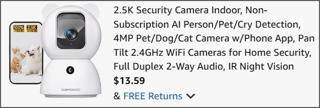 Security Camera at Checkout