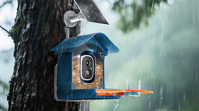 Smart Bird Feeder with Camera Smart Bird Feeder with Camera