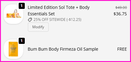 Sol De Janeiro Tote Body Essentials Set Checkout Screen