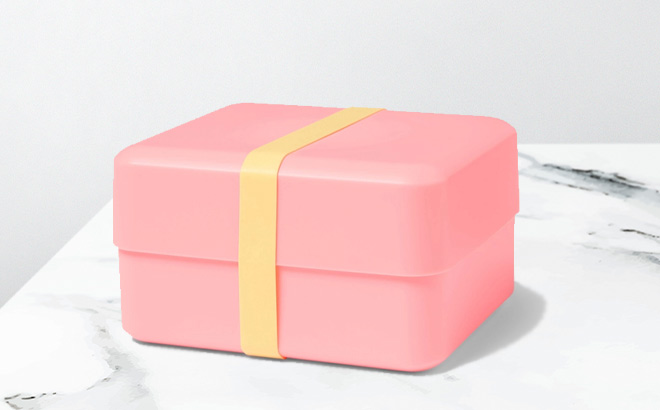 Sun Squad Bento Box on the Table Sun Squad Bento Box on the Table