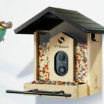 TT Nature Bird Feeder with Camera