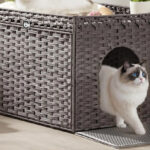 Tucker Murphy Pet Handwoven Rattan Hidden Litter Box Furniture