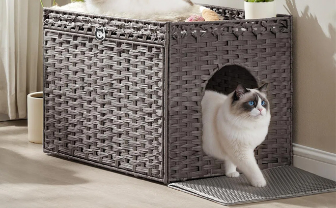 Tucker Murphy Pet Handwoven Rattan Hidden Litter Box Furniture