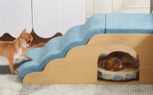 Tucker Murphy Pet Wooden Pet Stairs in Blue