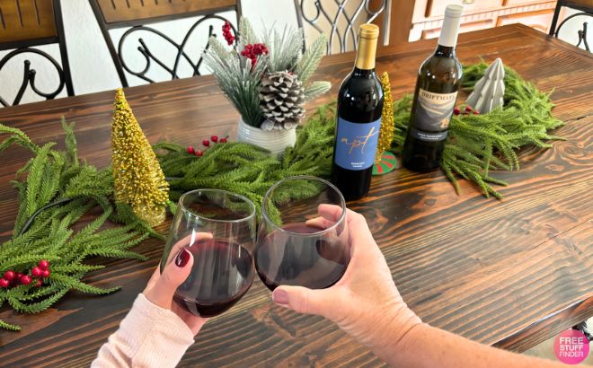 Two People Toasting with Wine Glasses Two People Toasting with Wine Glasses