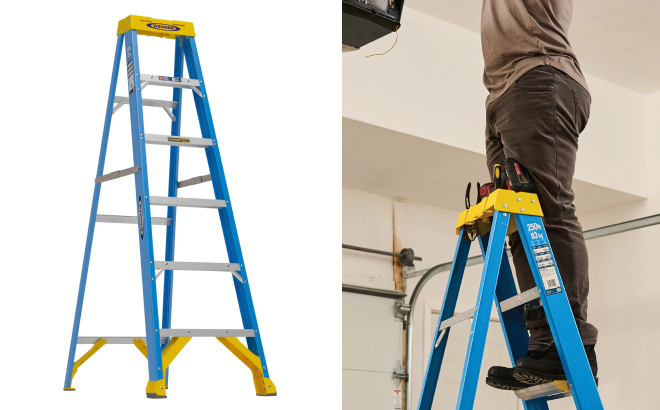 Werner 6 ft Fiberglass Type 1 Step ladder