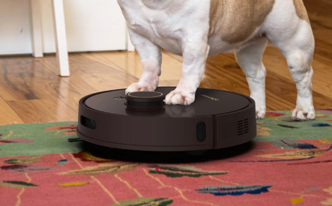 bObsweep Orb i Robot Vacuum