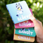 A Person Holding Bluey Little Library 4 Book Set
