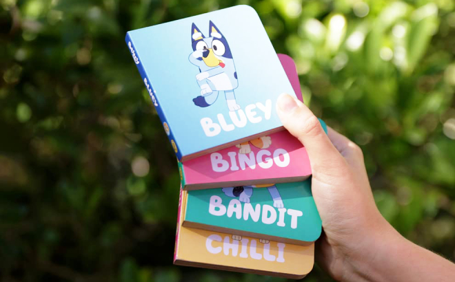A Person Holding Bluey Little Library 4 Book Set