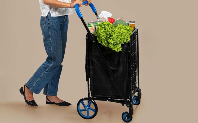 A Person Holding SereneLife Heavy Duty Shopping Cart