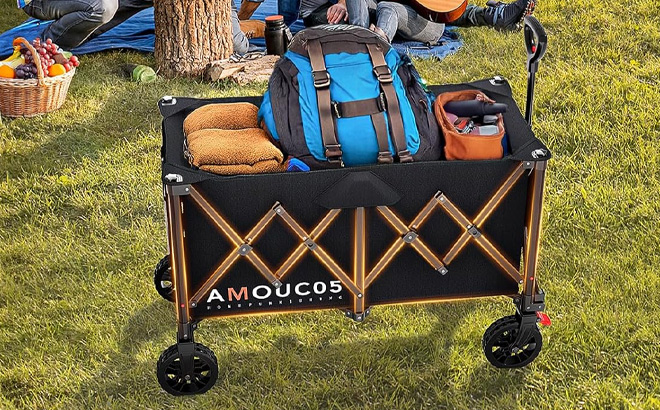 Amada Collapsible Wagon on the Ground Amada Collapsible Wagon on the Ground