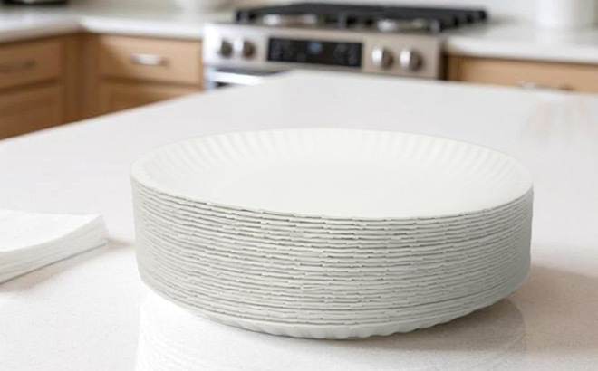 Amazon Basics Paper Plates 100 Pack