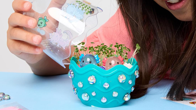 Axolotl Terrarium STEM Science Kit