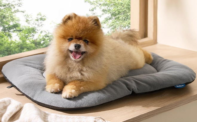 Bedsure Washable Dog Crate Pad for Small Dog