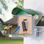 Bird Feeder with Camera