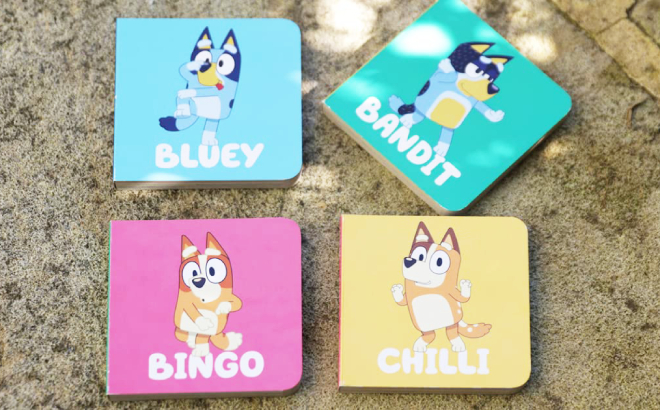 Bluey Little Library 4 Book Box Set Bluey Little Library 4 Book Box Set