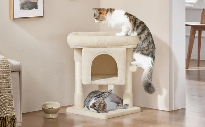 Brympton 23 5 Inch Two Level Cat Tree with Condo