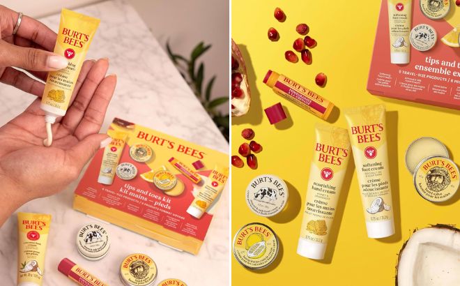 Burts Bees Tips and Toes 6 Piece Kit