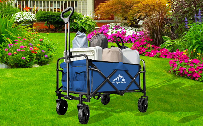 Collapsible Foldable Wagon Cart