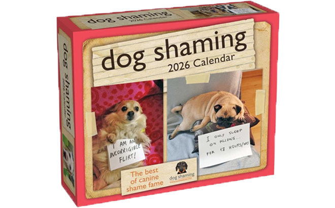 Dog Shaming 2026 Day to Day Calendar
