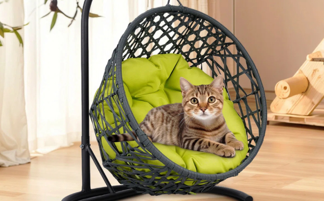 Ebern Designs Cat Swing Bed