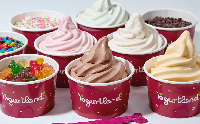 Froyo at Yogurtlan