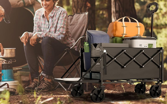 Geisoun Collapsible Foldable Wagon Cart