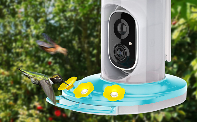 HARYMOR Hummingbird Feeder with Camera HARYMOR Hummingbird Feeder with Camera