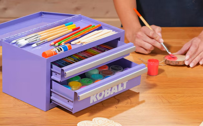 Kobalt Portable 2 Drawer Mini Toolbox