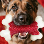 Kseroo Tough Dog Toy