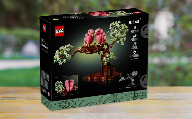 LEGO Love Birds Set in a Box on a Table