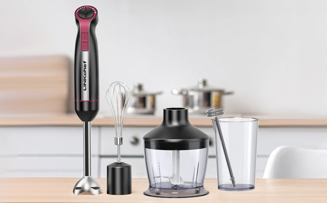 LINKChef Immersion Blender