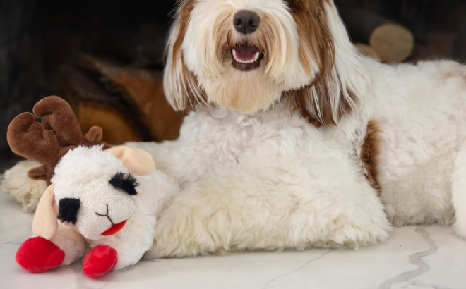 Multipet International Holiday Lamb Chop with Antlers Dog Toy