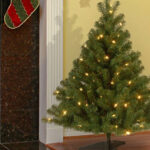 National Tree Company 4 Foot Pre Lit Christmas Tree in a Room