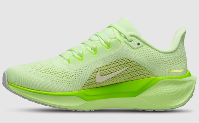 Nike Air Zoom Pegasus 41 Womens Shoes