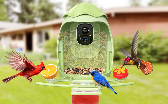 Osoeri Smart Bird Feeder with Camera