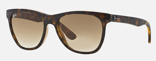 Ray Ban RB4184 Sunglasses