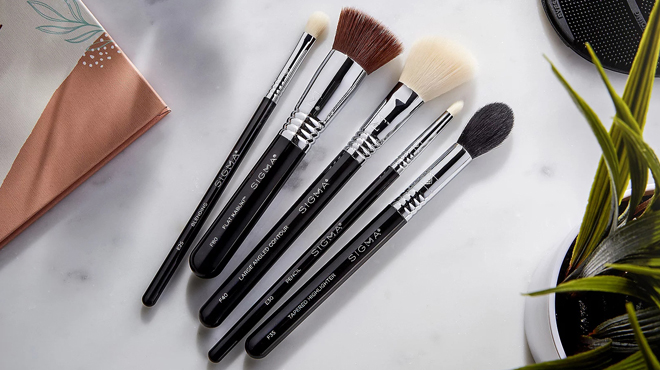 Sigma Fan Favorites Brush Set Sigma Fan Favorites Brush Set