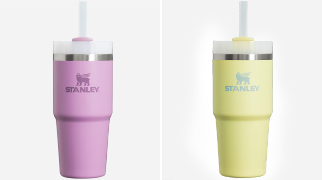 Stanley 14 Ounce The Quencher Tumblers in Two Colors Stanley 14 Ounce The Quencher Tumblers in Two Colors