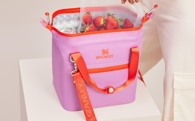 Stanley The All Day Julienne Mini Cooler Stanley The All Day Julienne Mini Cooler