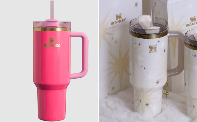 Stanley The Quencher H2 0 FlowState 40 Ounce Tumbler Stanley The Quencher H2 0 FlowState 40 Ounce Tumbler