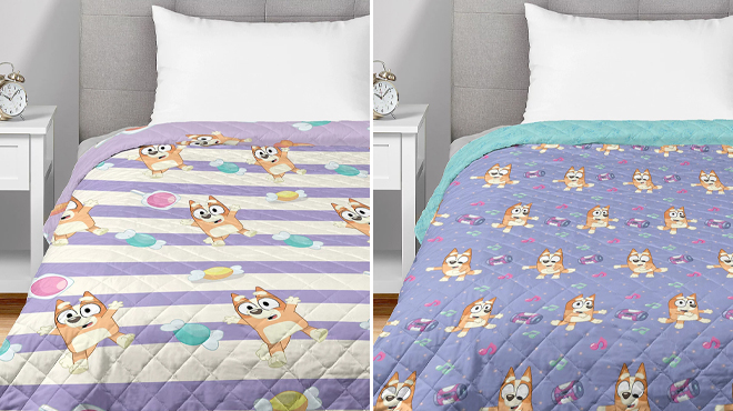 The Northwest Group Bluey Quilted Throws The Northwest Group Bluey Quilted Throws