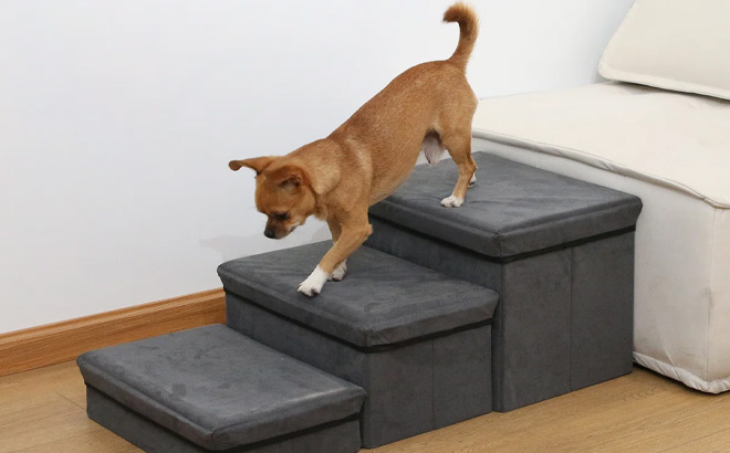 Tucker Murphy Pet Folding Storage Stepper Pet Ladder in the Room