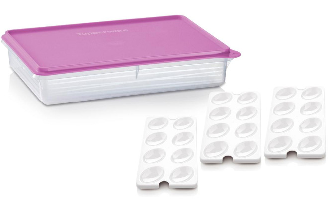 Tupperware Large Container