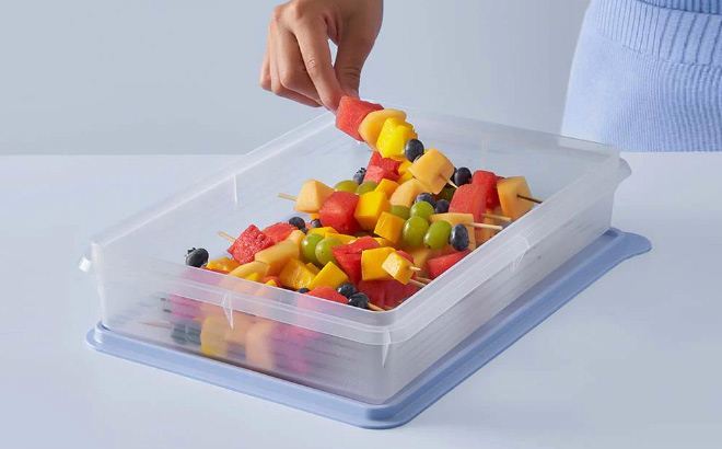 Tupperware Snack Stor Large Container