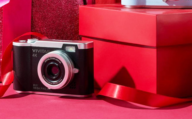 Vivitar Camera with Flip Out Screen